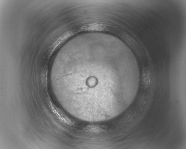 X0000085810534200703301528