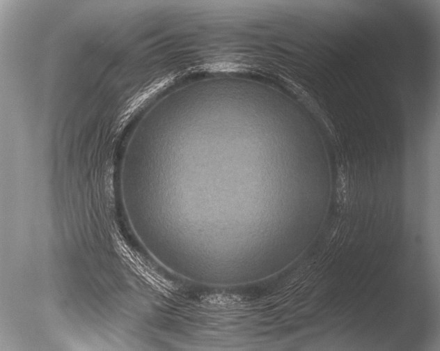 X0000085810535200703301528