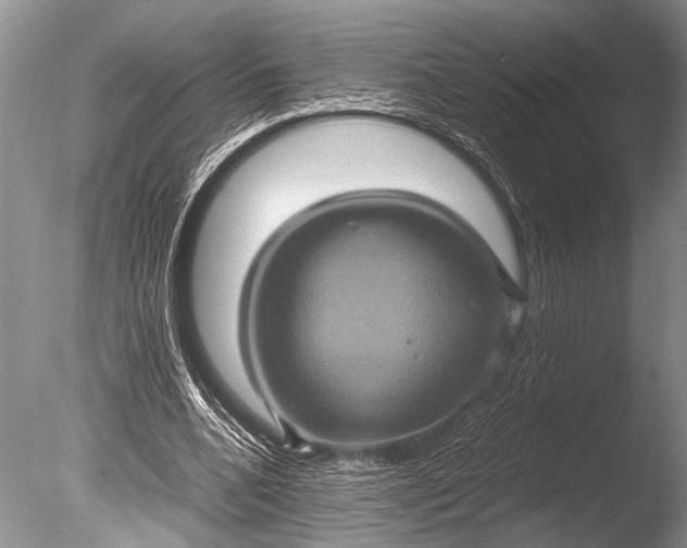 X0000085810536200703301528