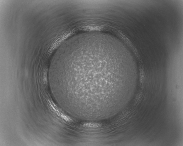 X0000085810537200703301528