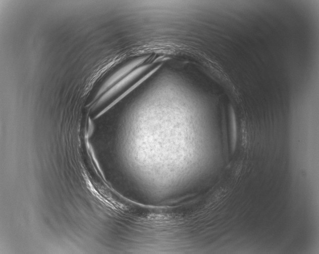 X0000085810538200703301528