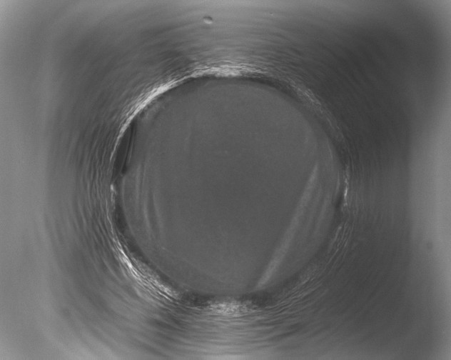 X0000085810540200703301528