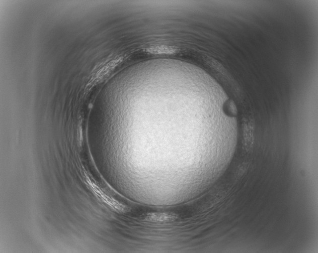 X0000085810541200703301528