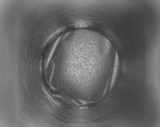 X0000085810543200703301528