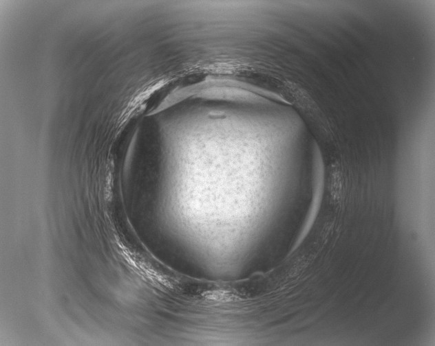 X0000085810544200703301528