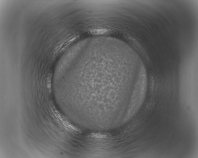 X0000085810545200703301528