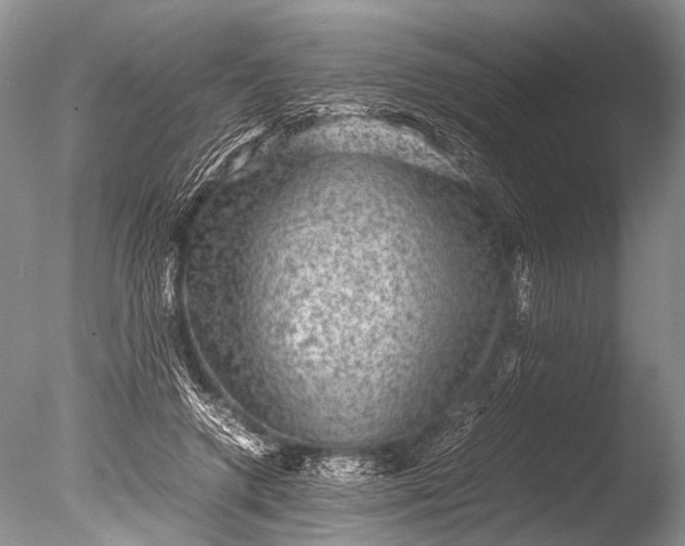 X0000085810546200703301528