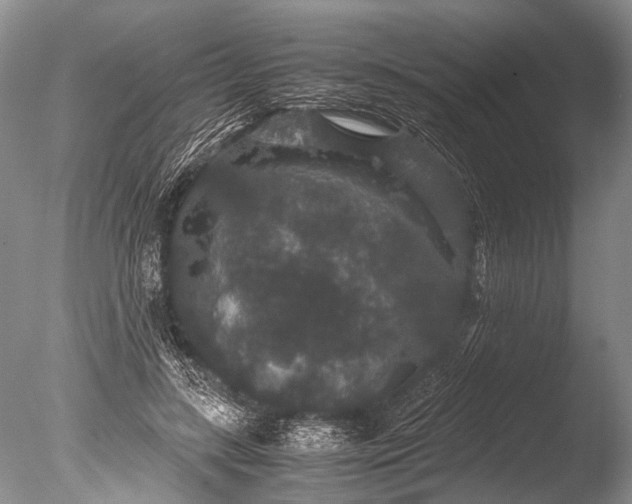 X0000085810547200703301528