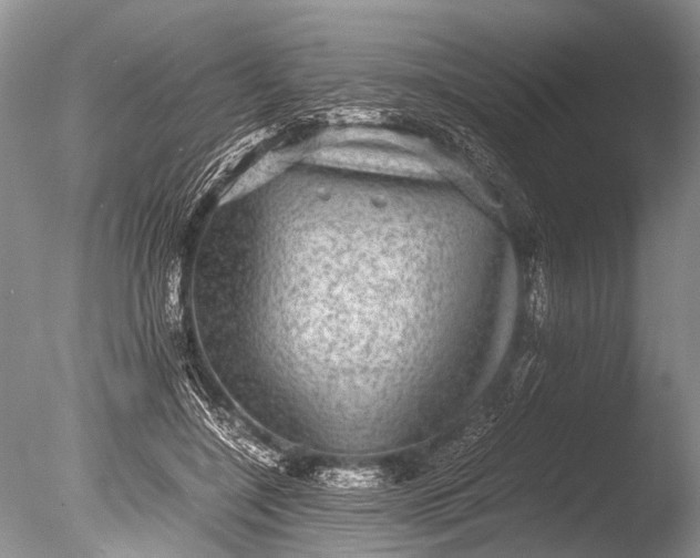 X0000085810548200703301528