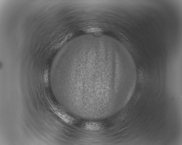 X0000085810549200703301528