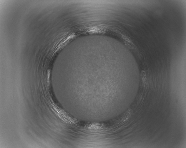 X0000085810550200703301528