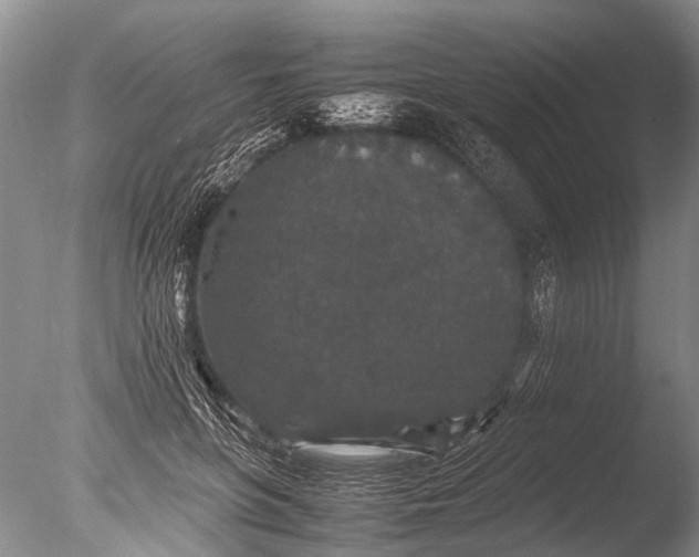 X0000085810551200703301528