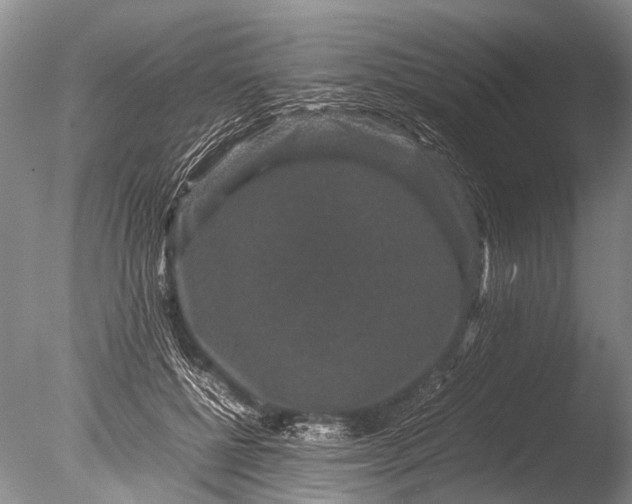 X0000085810552200703301528