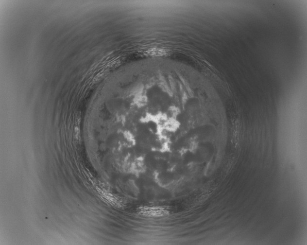 X0000085810553200703301528