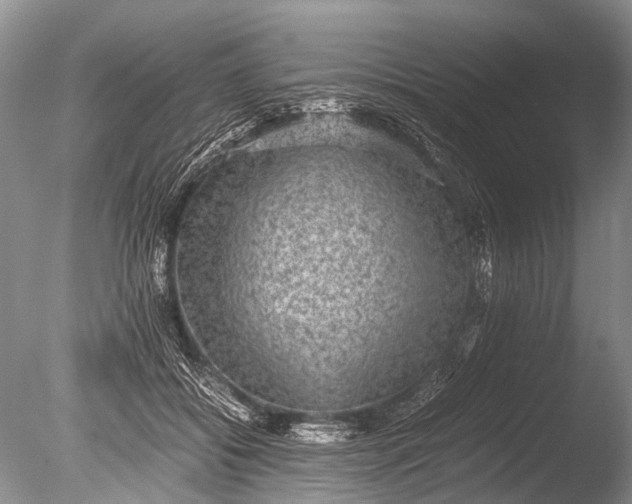 X0000085810556200703301528