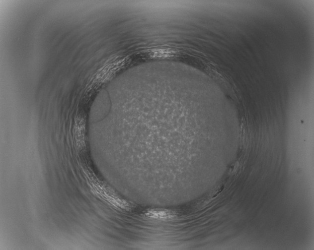 X0000085810557200703301528