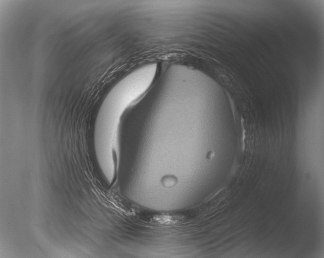 X0000085810558200703301528