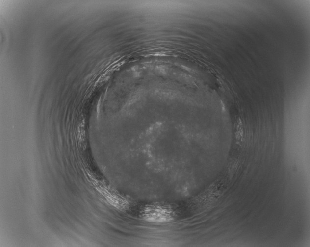 X0000085810559200703301528