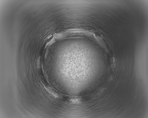 X0000085810560200703301528