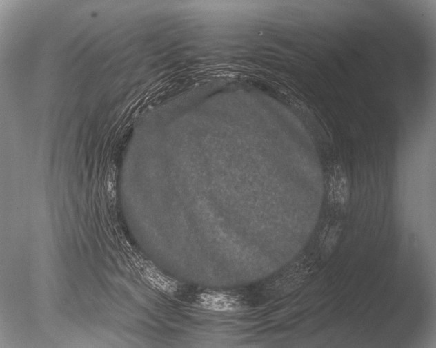 X0000085810561200703301528