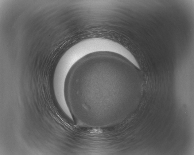 X0000085810562200703301528