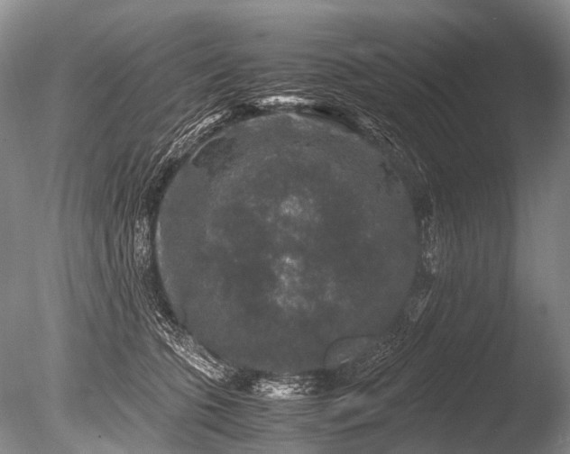 X0000085810563200703301528