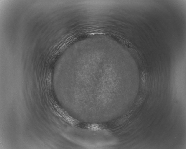 X0000085810565200703301528