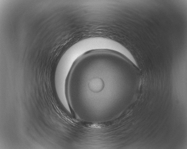 X0000085810566200703301528