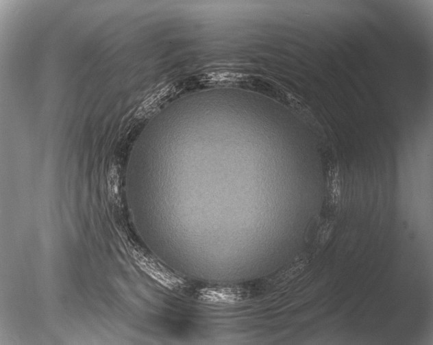 X0000085810567200703301528