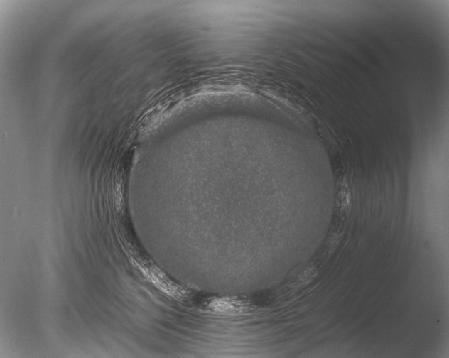 X0000085810568200703301528