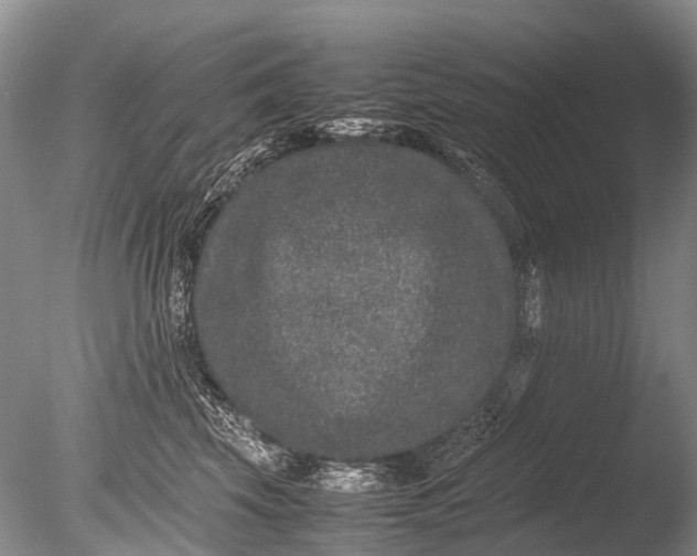 X0000085810569200703301528