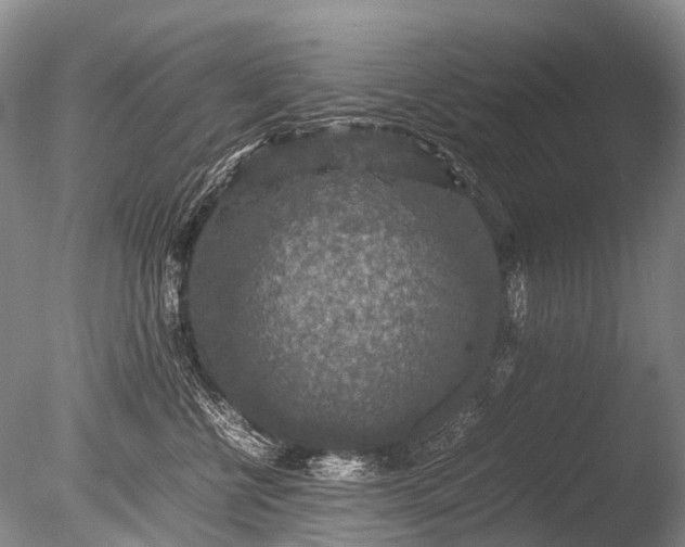 X0000085810570200703301528