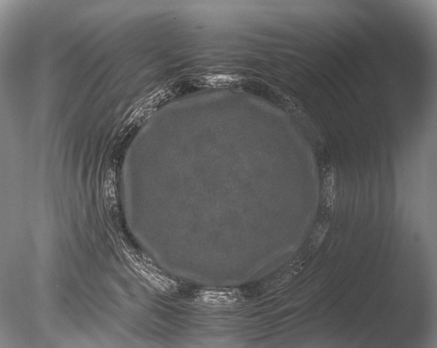 X0000085810571200703301528