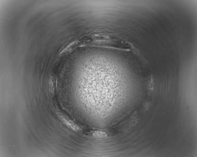 X0000085810572200703301528