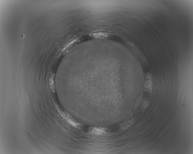 X0000085810573200703301528