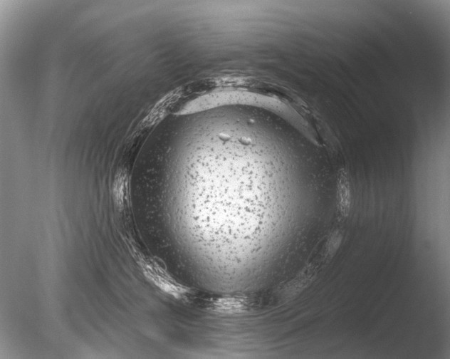 X0000085810574200703301528