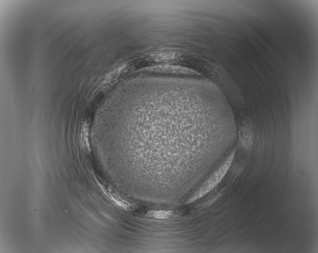 X0000085810575200703301528