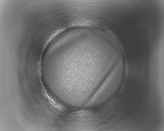 X0000085810578200703301527