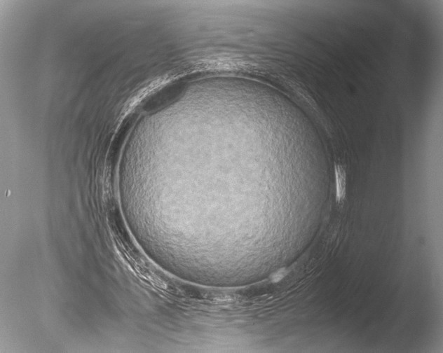 X0000085810579200703301527