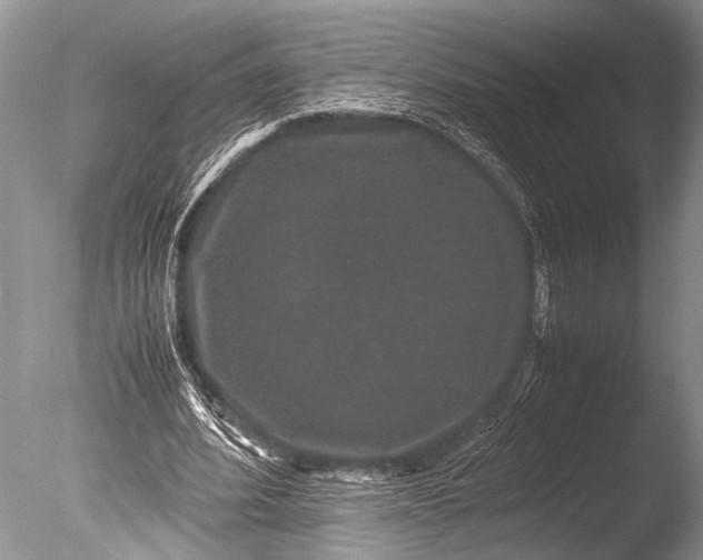 X0000085810580200703301527