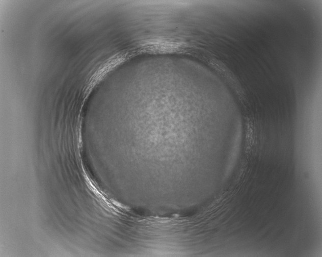 X0000085810582200703301527