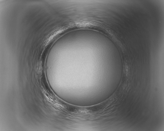 X0000085810583200703301527