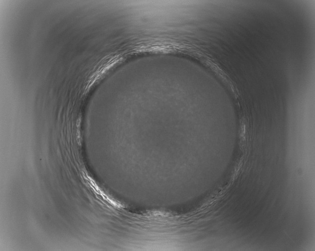 X0000085810585200703301527