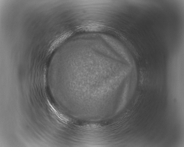 X0000085810586200703301527