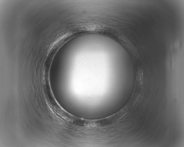 X0000085810587200703301527