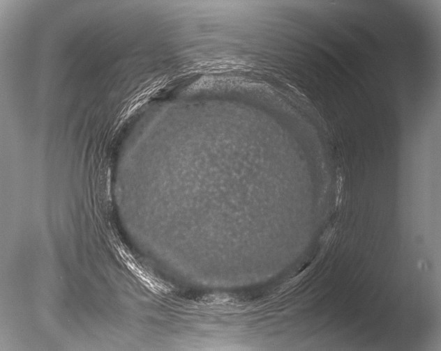 X0000085810589200703301527