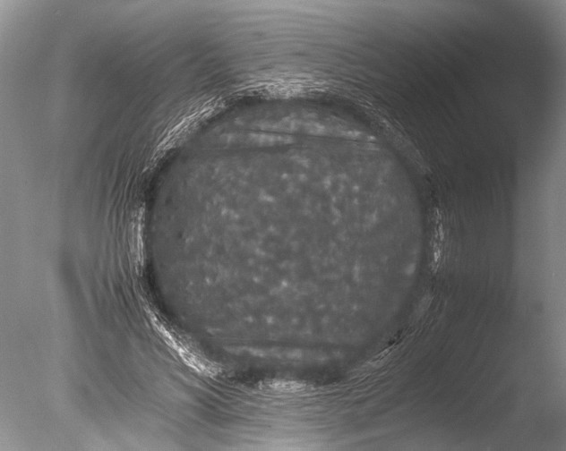 X0000085810590200703301527