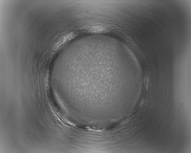 X0000085810591200703301527