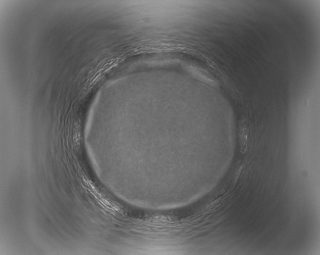 X0000085810593200703301527