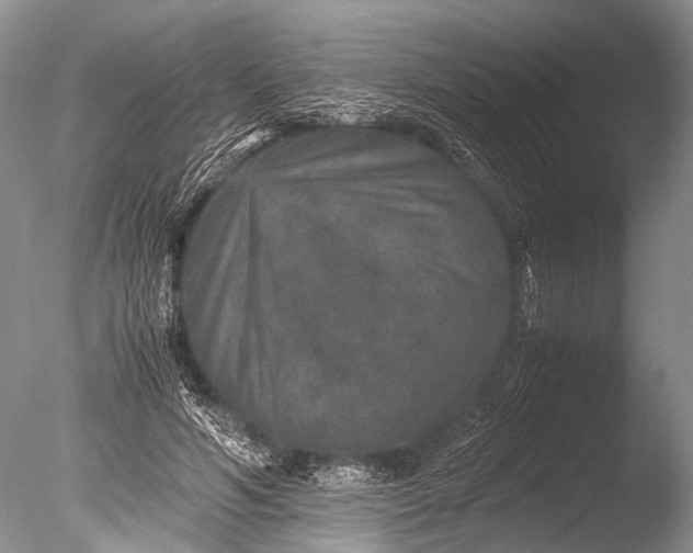 X0000085810594200703301527